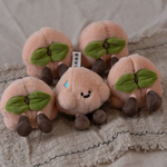 【際洋文化】桃你歡心-桃子, , large