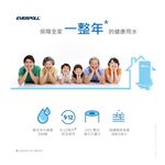 【麗水生活】愛科濾淨EVERPOLL公司貨-全戶設備FH-050濾心傳家寶全戶濾淨(500噸)大樓過濾 大型濾水器濾芯, , large