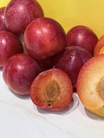 Cherry Plum, , large