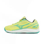 Mizuno Sky Blaster 男女 羽球鞋 桌球 寬楦 運動 訓練 基本款 黃綠 [71GA234531], , large