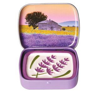 〔本野有限公司〕法國ESPRIT PROVENCE擴香石-TOU向日葵  -2入