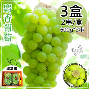 【一等鮮】韓國麝香葡萄禮盒3盒(600gx2串/盒)(免運費)