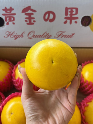 Tamarillo (Golden Fruit)