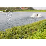 【台灣好漁】蒲燒台灣鯛魚腹180g/包 (三片裝) x 3包, , large