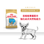 【Royal Canin法國皇家】吉娃娃幼犬CHP, , large