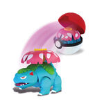 Pokemon, , large