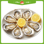 【17Buy】Frozen Half Shell Oyster, , large