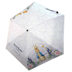 Peter Rabbit, , large