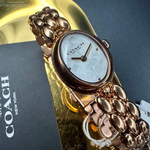 [TIMEMASTER] COACH watch, 22mm28mm, CH00267, , large