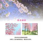 日本製【コスモ】長門簾《櫻花漫步》, , large