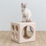 【paipaipets】Wooden Cube - Style B, , large