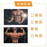[Body Dynamic] W Bar-50MM, , large