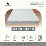 【帕瑪PAMA】除臭防菌防水保潔墊/雙人款, , large