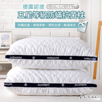 【FOCA】五星等級 德國銀離子防蹣抗菌立體舒眠枕, , large