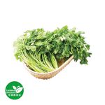 Organic Coriander 30g, , large
