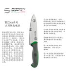 蓋瑞廚物【SANELLI 義大利製 TECNA 主廚刀 22cm】止滑柄  廚房刀 調理刀 廚刀  西式主廚刀 22, , large