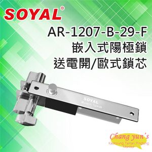 昌運監視器 SOYAL AR-1207B-29-F 送電開 陽極鎖 有歐式鎖芯 (旋鈕+鑰匙孔)