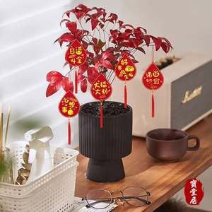 絨布燙金吊飾8組5入(盆摘吊飾/過年掛飾/流蘇裝飾/開運招財/入厝/新婚室內裝飾掛件)