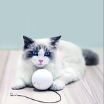 Homerunpet Smart Pet Magic Ball, , large