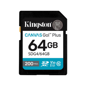Kingston SD Card