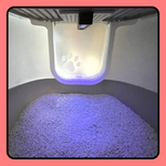 Everlight億光 紫外線 UVC LED抑菌機(白色), , large