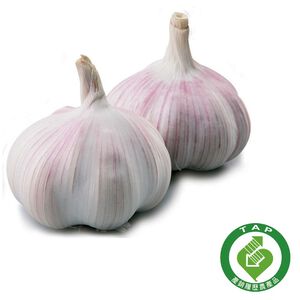 福利履歷蒜頭(每袋約300g)