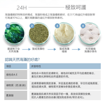 【KIKY】赫本海藻紗纖維高回彈獨立筒床墊5尺, , large