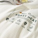 【Betrise】buy 1 get 1 free German patented fiber German velvet antibacterial heat storage warm winter quilt (double 6X7 feet) - basic style 2KG, , large