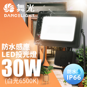 DanceLight舞光 微波感應泛光燈30W IP66防水 防眩強化玻璃(白光/黃光)