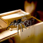 pop-up-spider-prank-box, , large