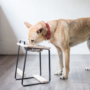 【paipaipets】 Natural Wood Elevated Pet Bowl - L/Maple