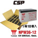Group purchase [YUASA] NPW36-12 (10 pieces/box) Lead-acid battery 12V36W UPS Uninterruptible power system Baby stroller Emergency lighting system Medical equipment power, , large