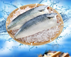 【i3Fresh】Frozen mackerel(2pec)