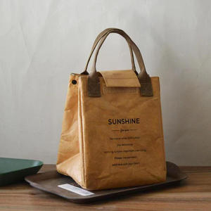 japanese-style-dupont-paper-insulated-lunch-bag