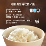 AIWA 愛華 3L 微電腦多功能電子鍋 RC-6 Ⅱ, , large