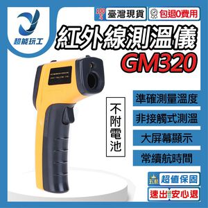 GM320 Infrared Thermometer