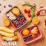 [JC ECO BELIEVER] 摩卡棕色矽膠便當盒 可拆洗矽膠便當盒 保鮮盒 矽膠保鮮盒 矽膠密封盒 密封盒 密封便當盒 多情境 通過美國FDA測試, , large