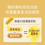 【FJ豐傑生醫】高效能薑黃BCM-95-30顆/盒(滋補強身ｘ病後補養ｘ降火氣), , large