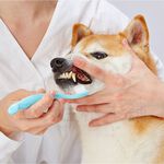【寵愛生活本舖】Petio寵物凝膠牙膏50ml 犬貓可用 牛奶香草味 派地奧, , large