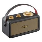 SANGEAN Bluetooth Portable Speaker RA101, , large