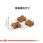 【拉拉寵物小舖】法國皇家 貓飼料 K36 幼貓專用乾糧 2公斤, , large