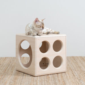 【paipaipets】Wooden Cube - Style S