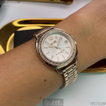 [星晴錶業]COACH手錶,34mm,CH00093白色錶面香檳金錶殼香檳金精鋼錶帶款, , large