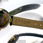 [星晴錶業]COACH手錶,24mm,CH00075藍綠色錶面金色錶殼綠真皮皮革錶帶款, , large