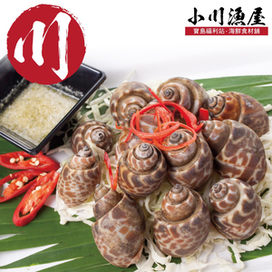 Premium Live-Frozen Sea Snails (Babylonia)