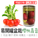 cherry radish, , large