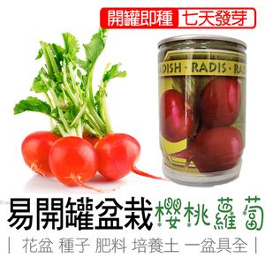 cherry radish