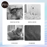 PET, , large