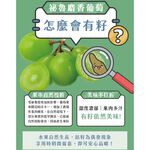 imported Muscat Grapes , , large