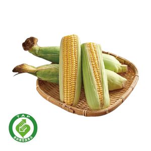 履歷玉米2入(每盒約400克)